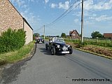 Zandlemig Vlaanderen
